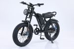 EMB009 New Design 750W Mountain Electric Bicycle Out Door With Fat Tire 20''Ebike - Black