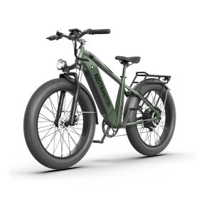 New Pattern Electric Bike Fat Tire With Removable Lithium Battery for Adults - 1000W - Dark Green