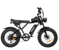 Off-road Electric Bike 1000W 20ah Black - BLACK