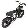 Electric Bike Ridstar Q20 MINI Speed 50km/h 1000W 48V15AH - black