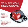 Qunol Ultra CoQ10 Softgel, 200mg, Heart Health Dietary Supplement, 30 Count - Qunol