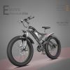 New Pattern Electric Bike Fat Tire With Removable Lithium Battery for Adults - 750W - Black