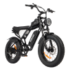 Electric Bike Ridstar Q20 MINI Speed 50km/h 1000W 48V15AH - black