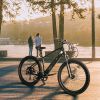 Trustmade Ebike - Panther