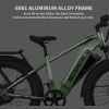 New Pattern Electric Bike Fat Tire With Removable Lithium Battery for Adults - 1000W - Dark Green