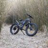 New Pattern Electric Bike Fat Tire With Removable Lithium Battery for Adults - 750W - Black