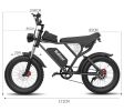 Off-road Electric Bike 1000W 20ah Black - BLACK