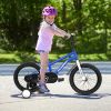 A16114 Kids Bike 16 inch for Boys & Girls with Training Wheels, Freestyle Kids' Bicycle with fender. - Blue