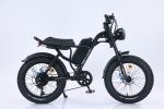 EMB009 New Design 750W Mountain Electric Bicycle Out Door With Fat Tire 20''Ebike - Black