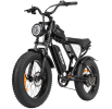 Electric Bike Ridstar Q20 MINI Speed 50km/h 1000W 48V15AH - black