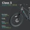 Trustmade Ebike - Bobcat