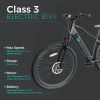 Trustmade Ebike - Panther