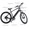 Trustmade Ebike - Bobcat