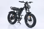 EMB009 New Design 750W Mountain Electric Bicycle Out Door With Fat Tire 20''Ebike - Black