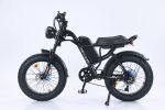 EMB009 New Design 750W Mountain Electric Bicycle Out Door With Fat Tire 20''Ebike - Black